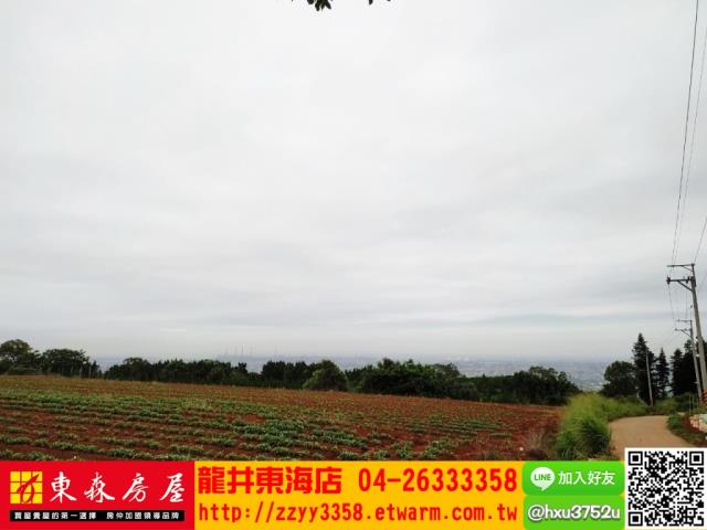 台中沙鹿山坡地-2