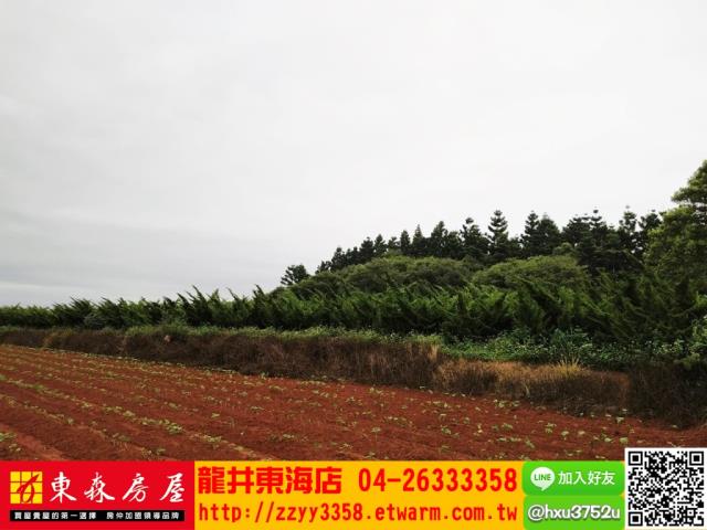 台中沙鹿山坡地-5
