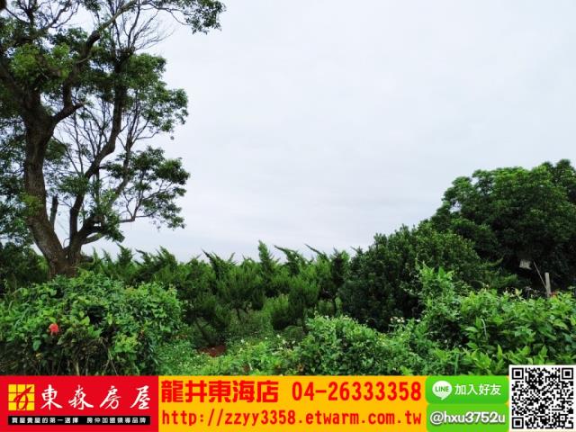 台中沙鹿山坡地-7