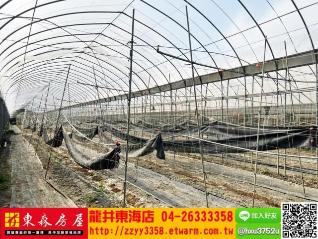 南投南投市農地-4