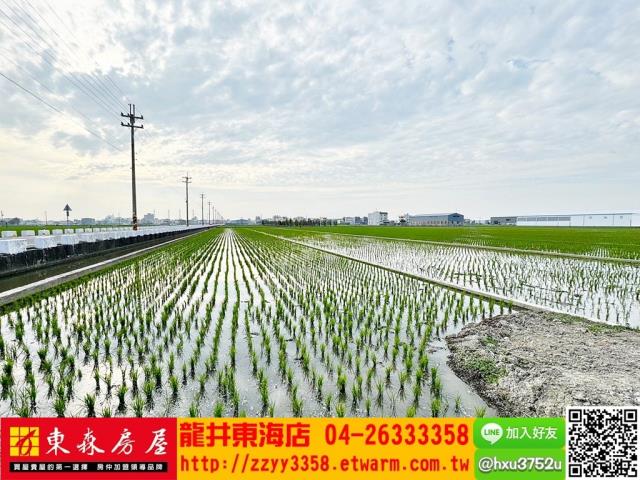 台中龍井農地-9