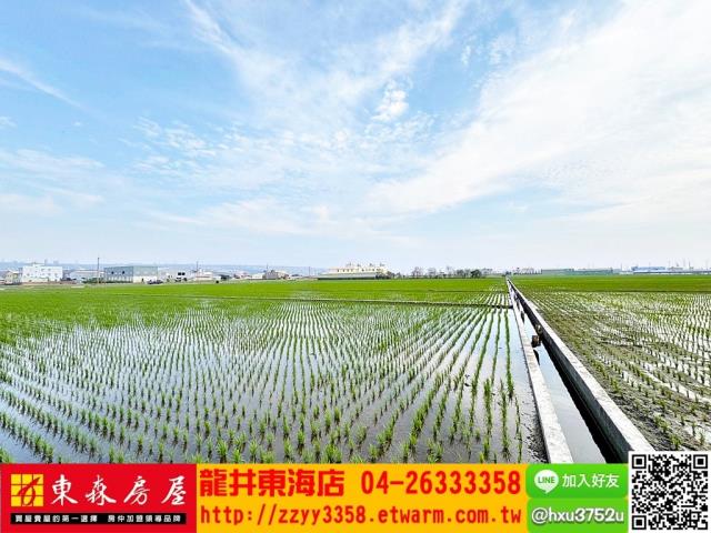 台中龍井農地-10