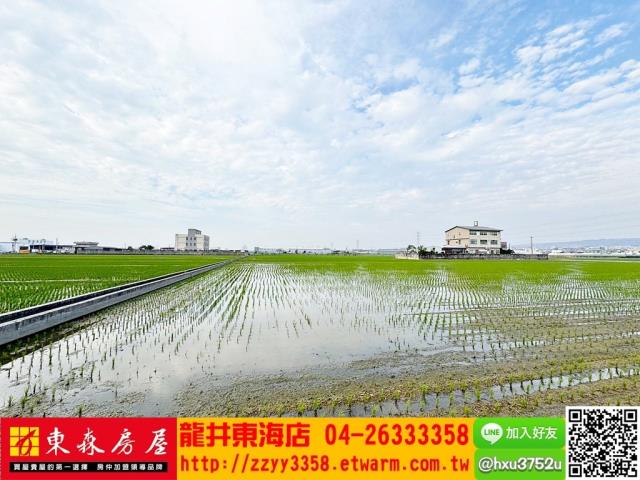 台中龍井農地-11