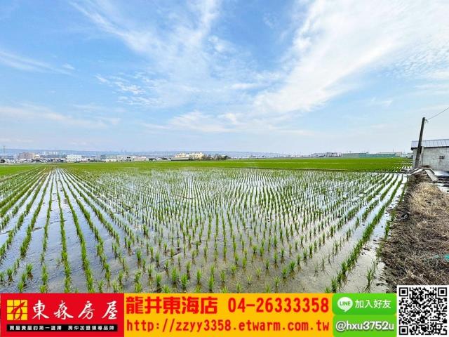 台中龍井農地-2