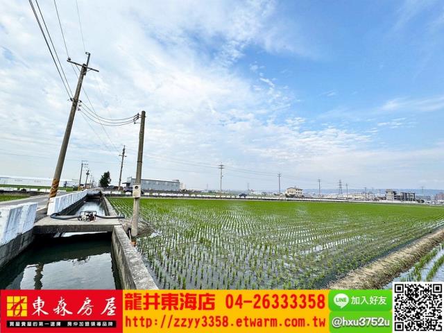 台中龍井農地-3