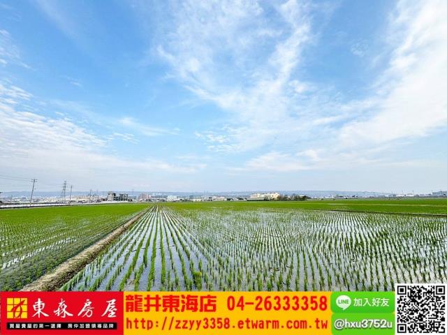 台中龍井農地-4