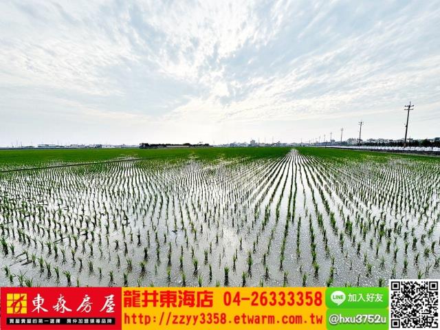 台中龍井農地-5