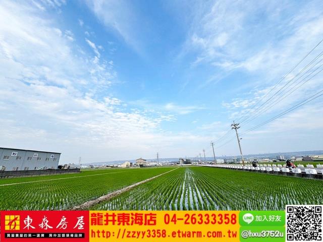 台中龍井農地-8