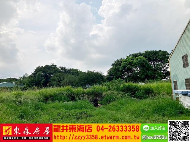 台中沙鹿旱-4