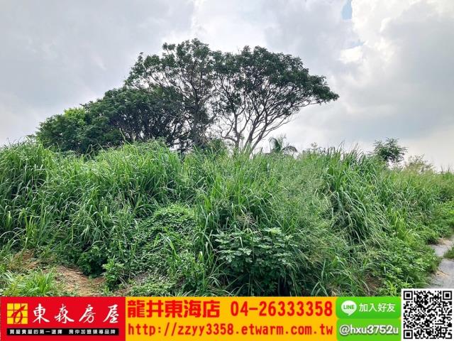 台中沙鹿旱-5