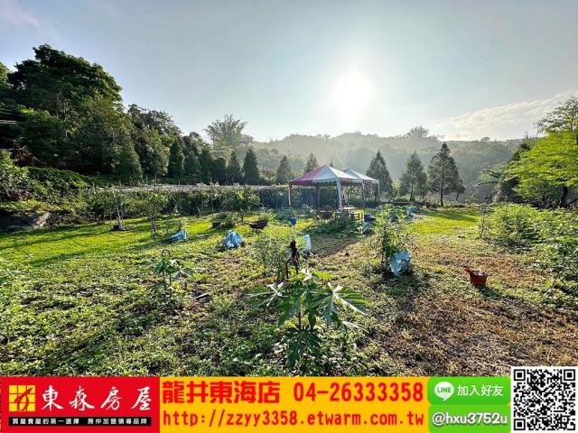台中東勢農牧用地-4