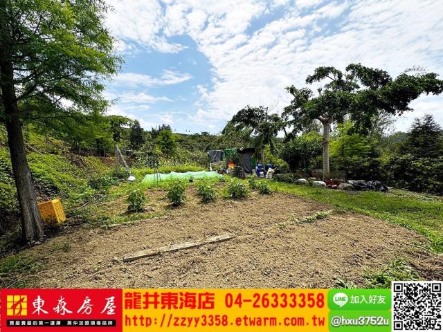 台中東勢農牧用地-7