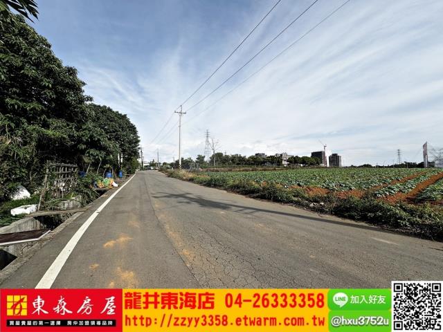 台中沙鹿旱-2