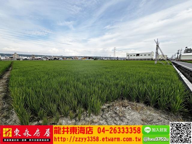 台中龍井農地-1