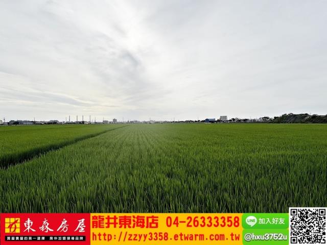 台中龍井農地-1