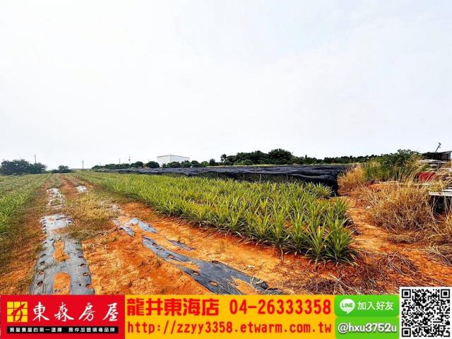 沙鹿農地-4