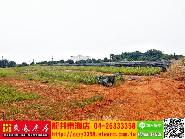 沙鹿農地-5