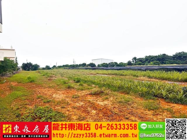 沙鹿農地-6