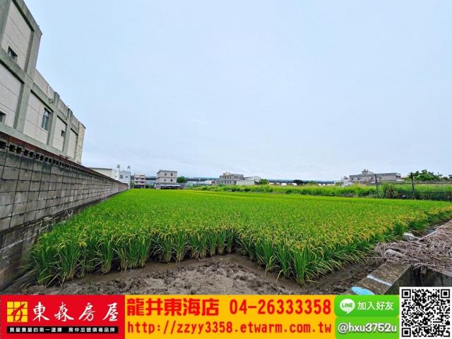 台中大肚農地-2