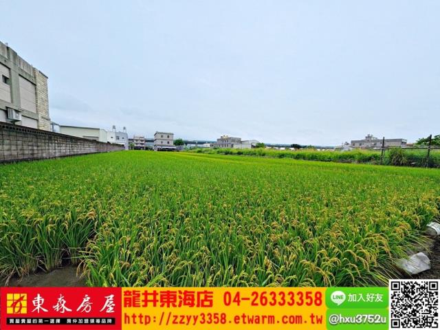 台中大肚農地-3