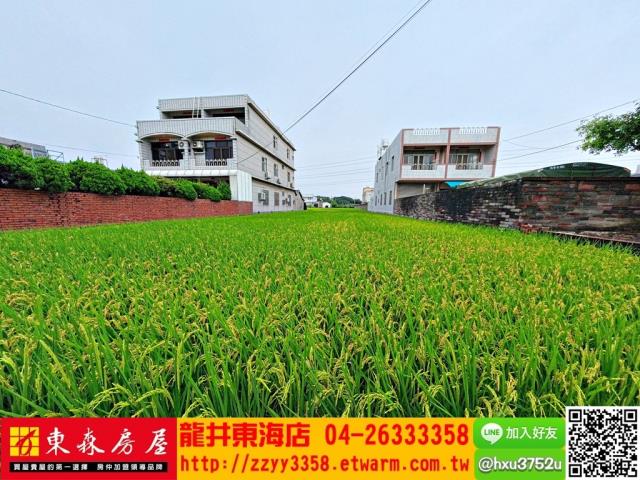 台中大肚農地-4